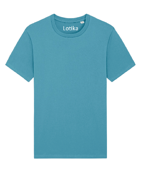 Daan T-shirt biologisch katoen atlantic blue from Lotika