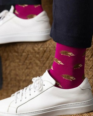 Swole Panda bamboesokken met egels – pink from Lotika