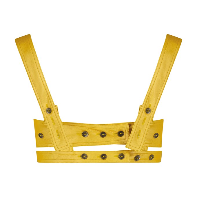 GOLDEN HONEY BRA TOP from MONIQUE SINGH