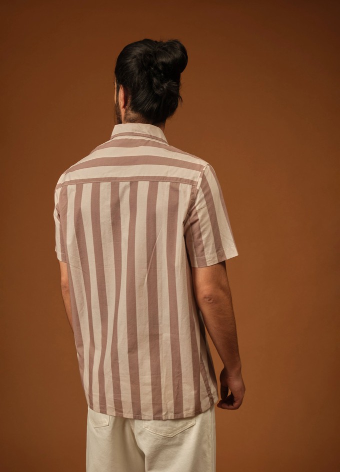 Mocha Stripe Half-Sleeve Shirt from No Nasties