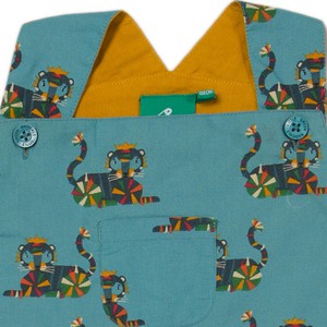 LITTLE GREEN RADICALS Rainbow Tigers zomerjurk from Olifant en Muis