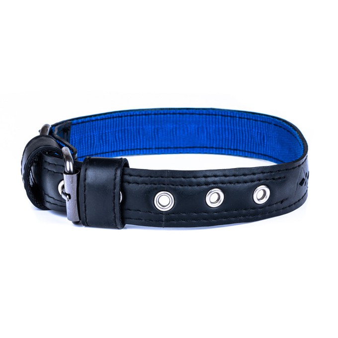 Eco Friendly Recycled Inner Tube Vegan Dog Collar from Paguro Upcycle