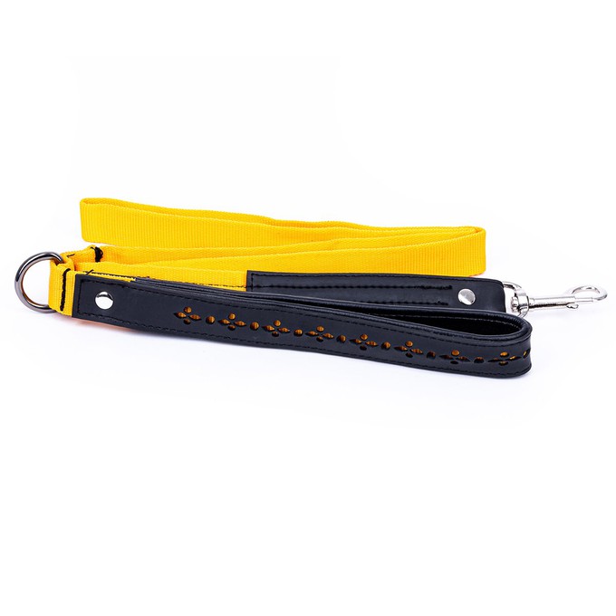 Eco Friendly Recycled Inner Tube Vegan Dog Lead from Paguro Upcycle