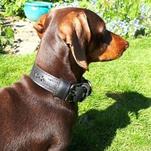 Eco Friendly Recycled Inner Tube Vegan Dog Collar from Paguro Upcycle