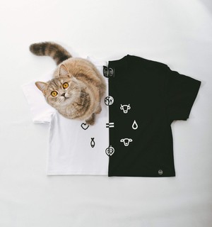 Equal Beings - Black Crop Tee from Plant Faced Clothing