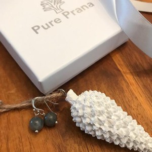 Oorbellen Labradoriet Zilver from Pure Prana Oorbellen Labradoriet Zilver from Pure Prana