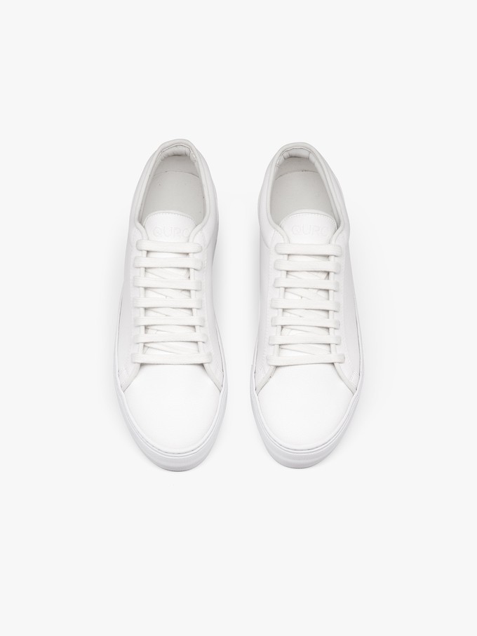 Grape Essential - Classic White from QURC. amsterdam