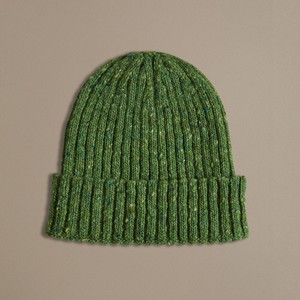 Unisex Donegal Beanie | Leaf Green from ROVE
