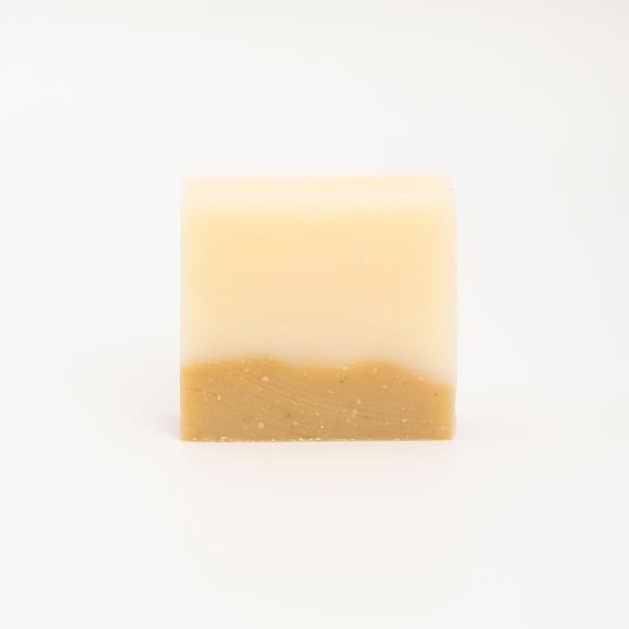 Citrus Shampoo Bar from Shop Like You Give a Damn