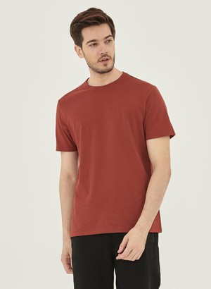 Basic T-Shirt Ginger Brown from Shop Like You Give a Damn