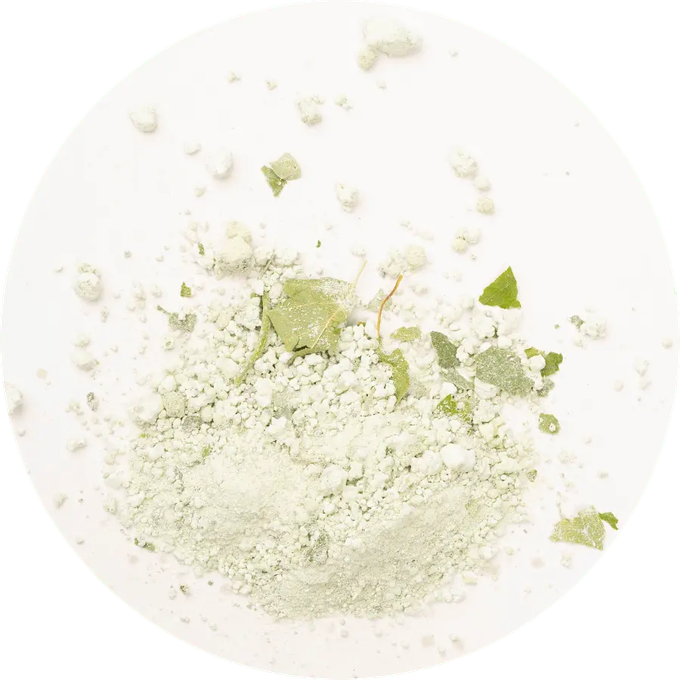 Forest Bath Powder from Skin Matter