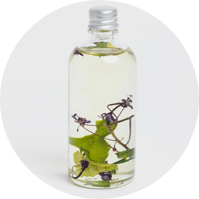 Birch Willowherb Sense Oil for Face, Body and Hair from Skin Matter