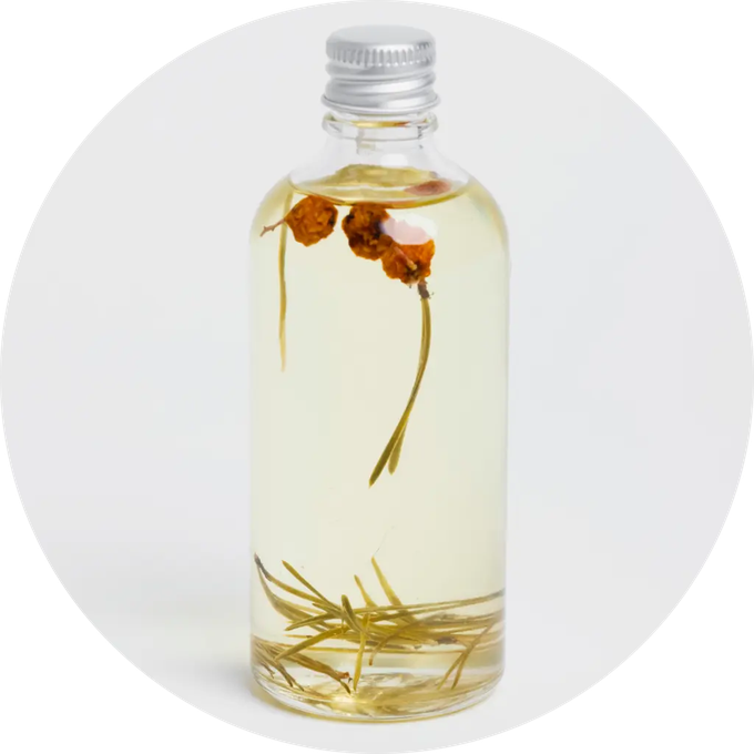Pine Sea Buckthorn Sense Oil for Face, Body and Hair from Skin Matter