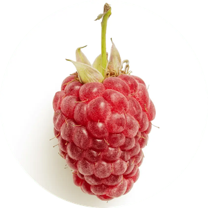 Protecting Raspberry Seed Face Oil from Skin Matter