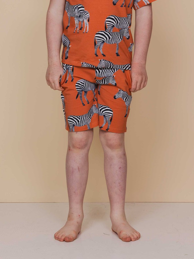 Zebras Shorts Kids from SNURK
