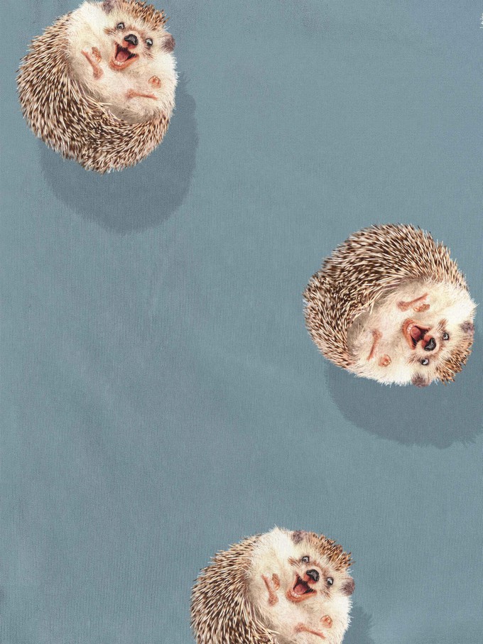 Hedgy Blue Sweater Dames from SNURK