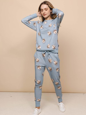 Hedgy Blue Sweater Dames from SNURK