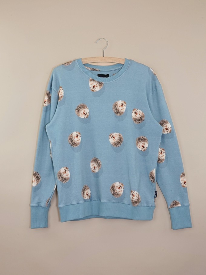 Hedgy Blue Sweater Dames from SNURK