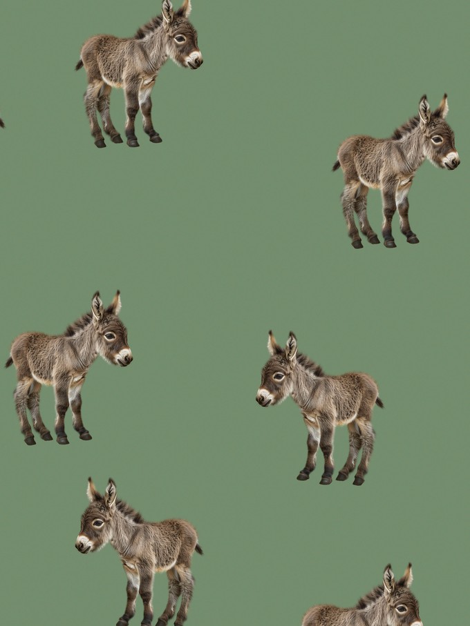 Donkeys Sweater en Broek set Kids from SNURK