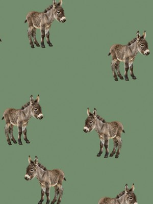 Donkeys Sweater en Broek set Kids from SNURK