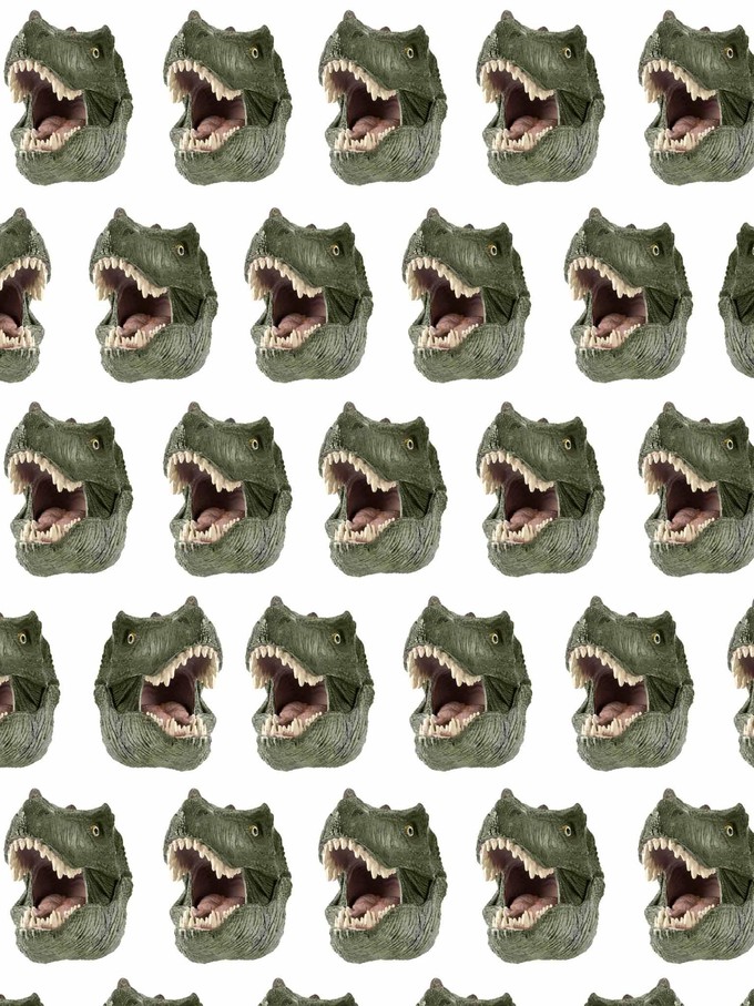 Dino T-shirt en Korte broek set Kinderen from SNURK