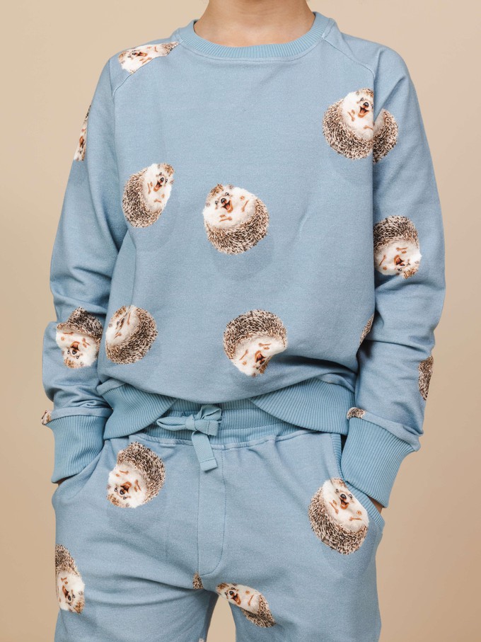 Hedgy Blue Sweater en Broek set Kinderen from SNURK