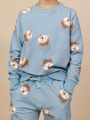 Hedgy Blue Sweater en Broek set Kinderen from SNURK