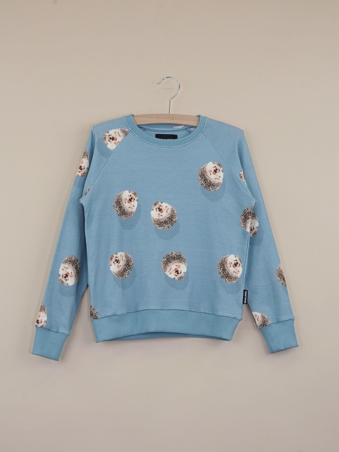 Hedgy Blue Sweater Kids from SNURK
