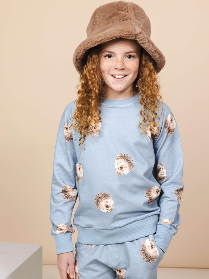 Hedgy Blue Sweater Kids from SNURK