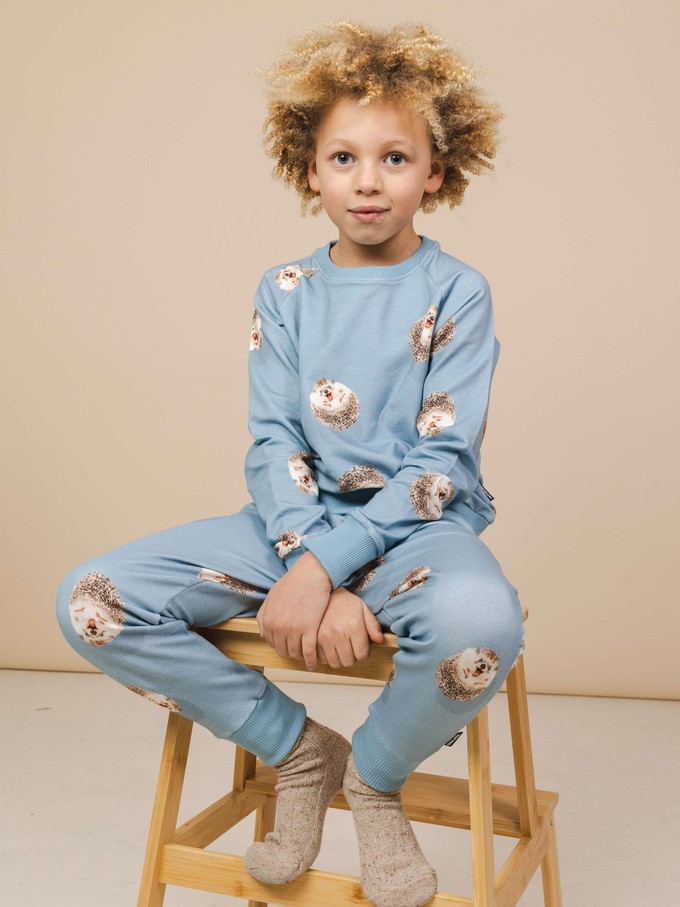 Hedgy Blue Trui en Broek set Kinderen from SNURK