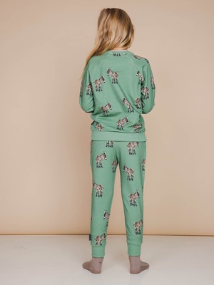Donkeys Sweater en Broek set Kids from SNURK