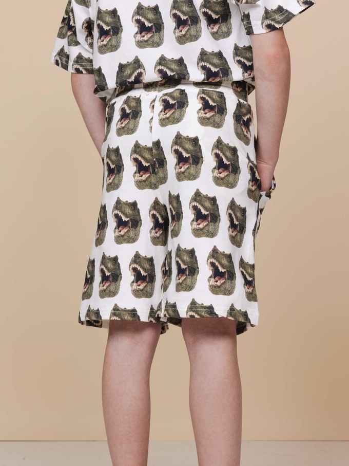 Dino Korte broek Kinderen from SNURK