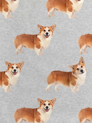 Corgi Time Trui jurk Dames from SNURK