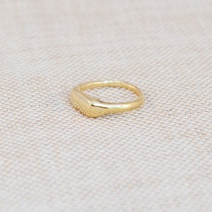 Signet Ring - Gold 14k from Solitude the Label