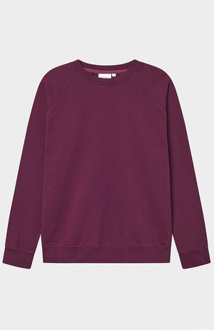 Sweater Malmoe base fig red from Sophie Stone