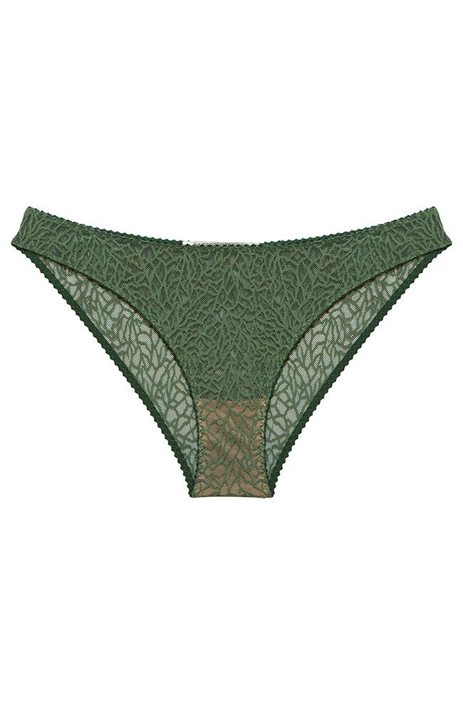 ToraUP slip from Sophie Stone
