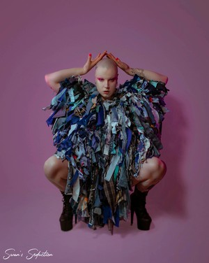 Blue bird (Rental) from Stephastique