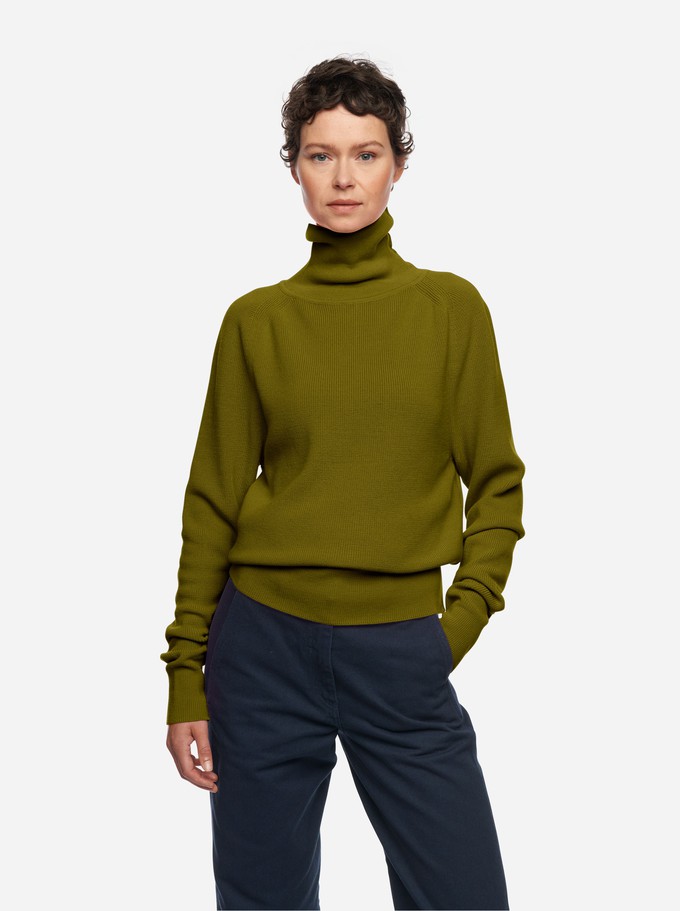 The Turtleneck Sweater from TEYM