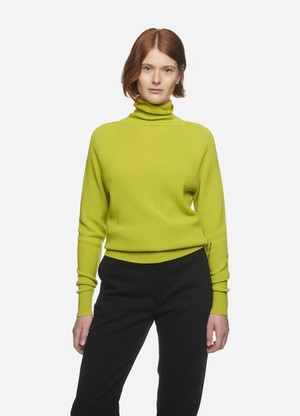 The Turtleneck Sweater from TEYM