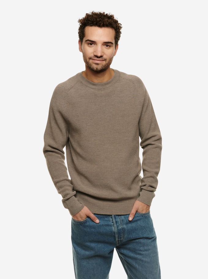 The Crewneck Sweater from TEYM
