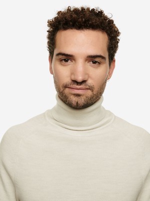 The Turtleneck Sweater from TEYM