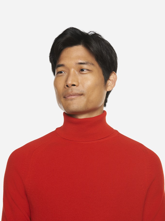 The Turtleneck Sweater from TEYM