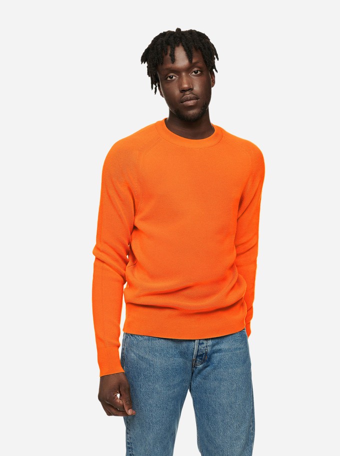 The Crewneck Sweater from TEYM
