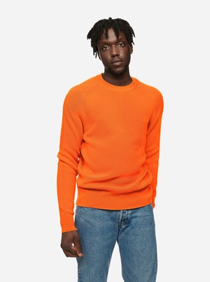 The Crewneck Sweater from TEYM