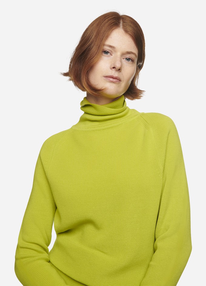 The Turtleneck Sweater from TEYM