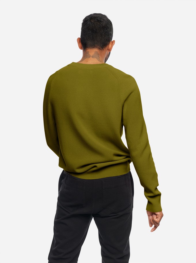 The Crewneck Sweater from TEYM