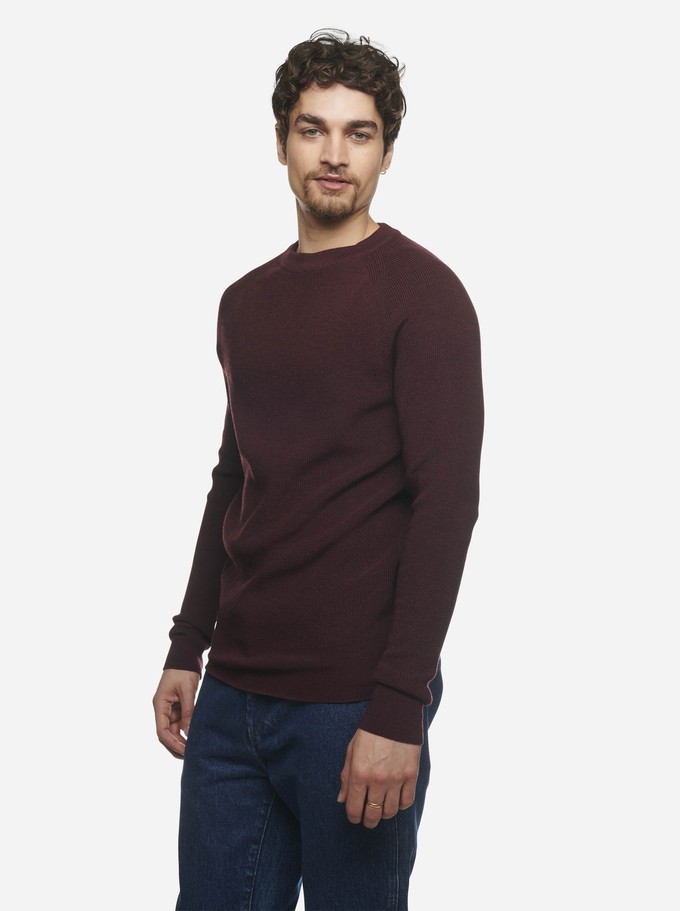 The Crewneck Sweater from TEYM