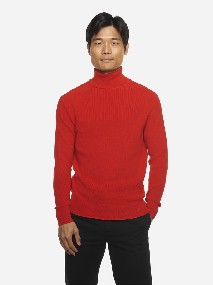 The Turtleneck Sweater from TEYM