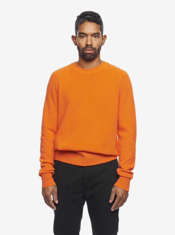 The Crewneck Sweater from TEYM