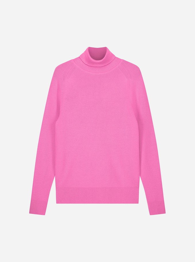 The Turtleneck Sweater from TEYM